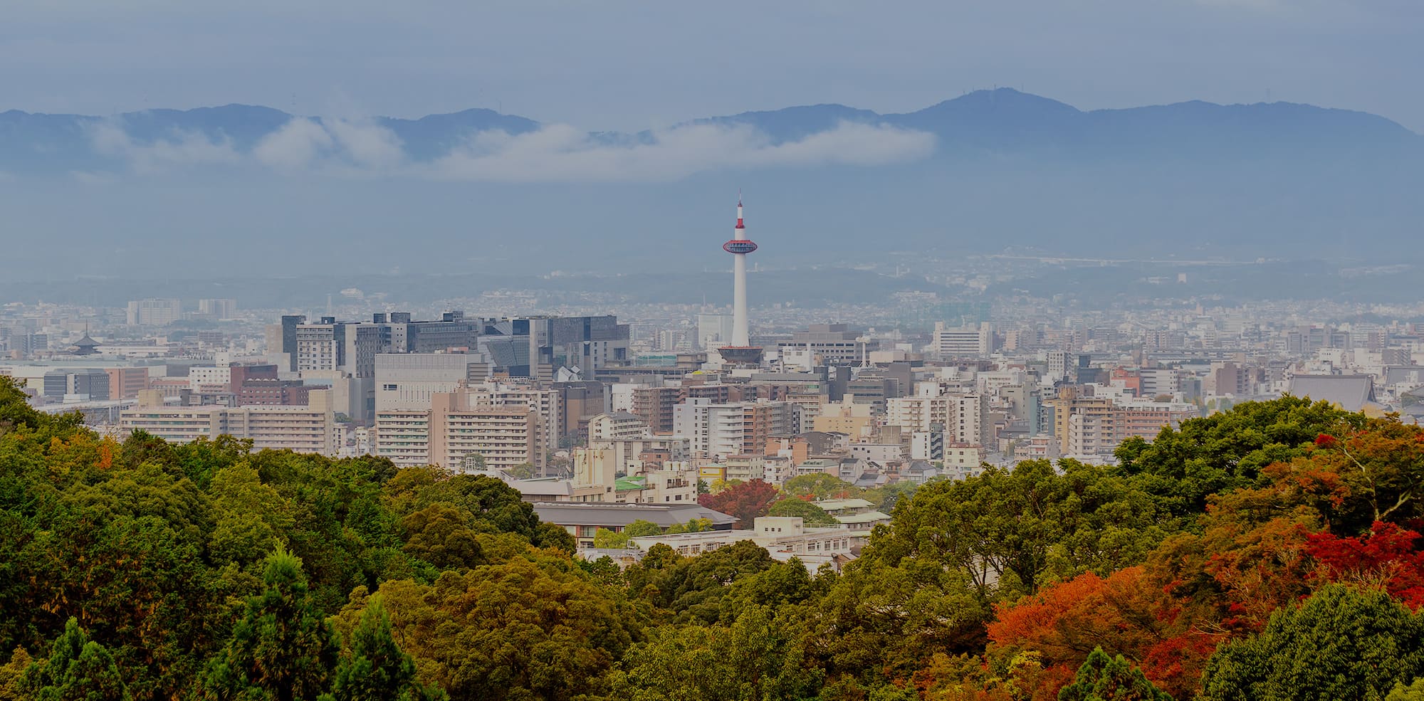 地域と歩む かたちに残る仕事、積み上げる信頼  変わらぬ姿勢で、まちと向き合う。